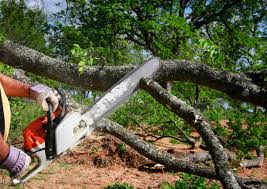 Lawn Watering Services in Georgetown, TX